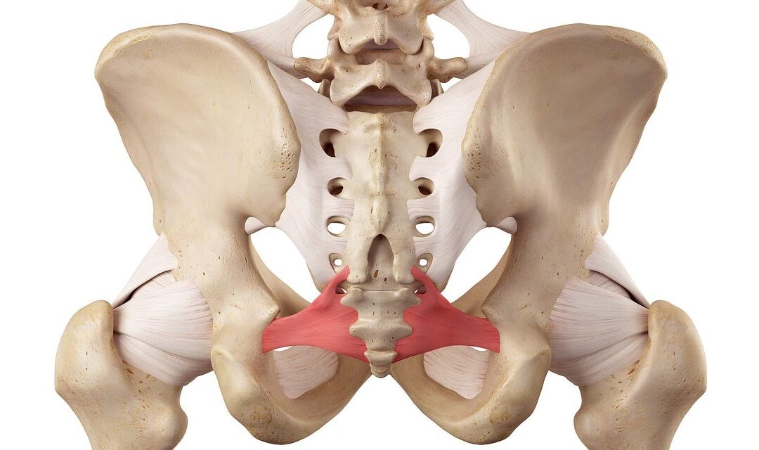 Get Rid of Your Groin Pain: Three Key Osteitis Pubis Exercises (Phase 2)