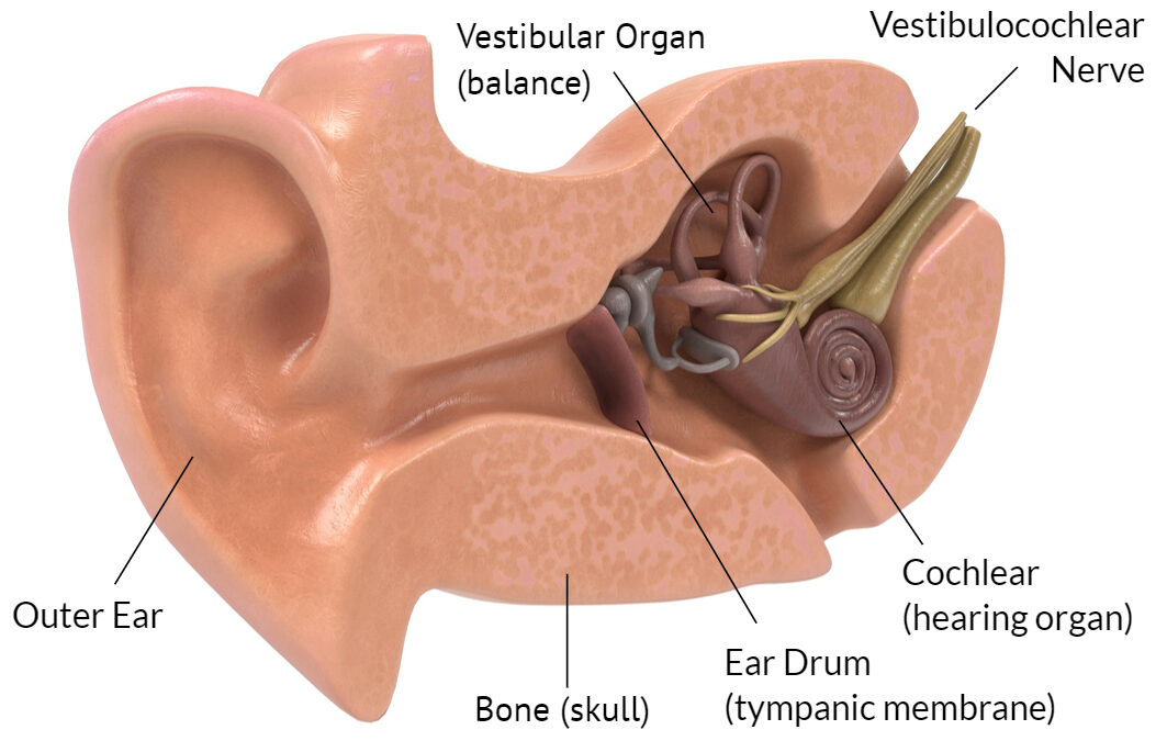 Say Goodbye to Dizziness with Vestibular Rehab
